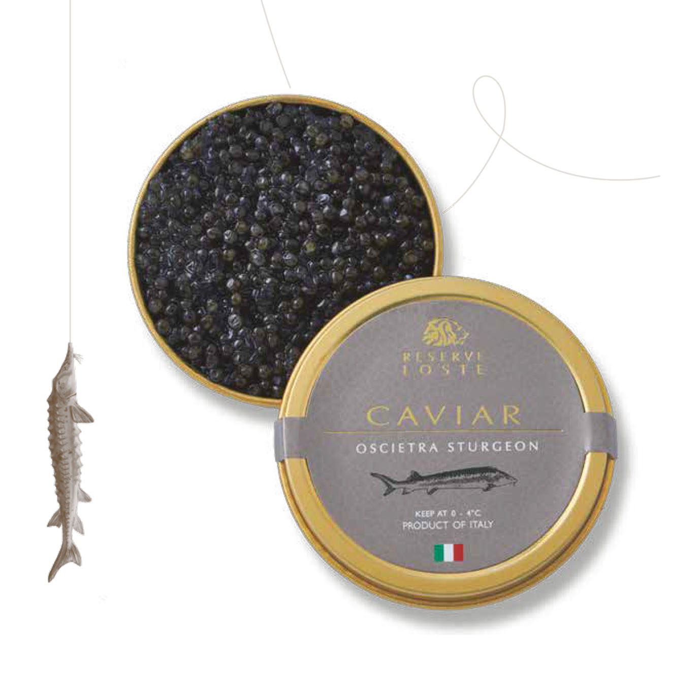 Osetrova caviar de l'esturgeon russe acipenser gueldenstaedtii 30g