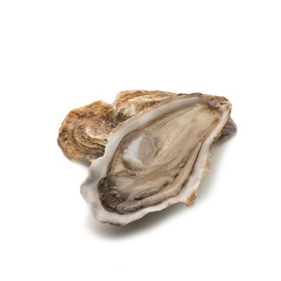 Fresh Fine De Claire Oysters N2 | 24pcs - Royale Gourmet